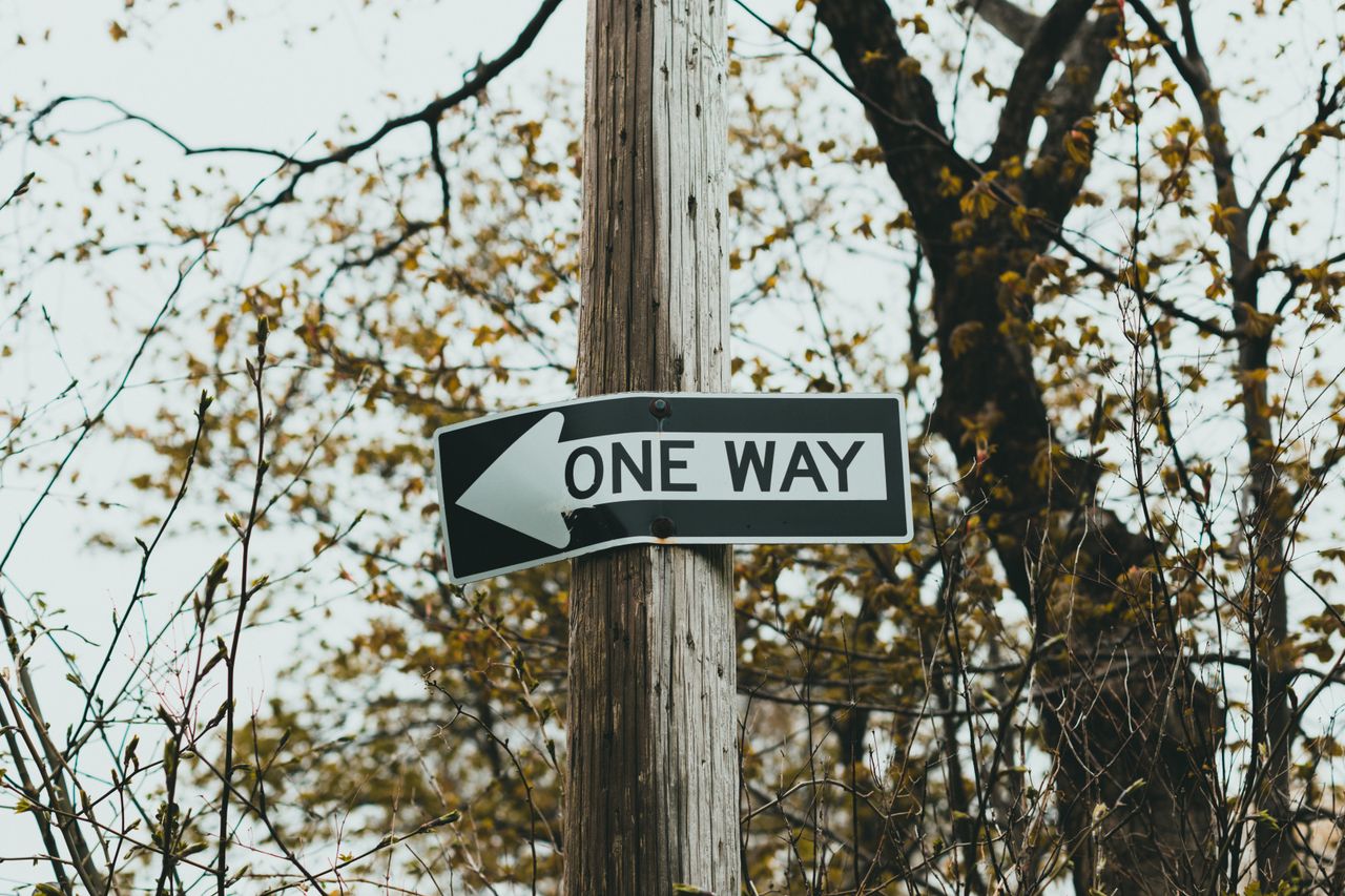 about-02 A one way sign on a wooden post among trees, captured in a forest setting.