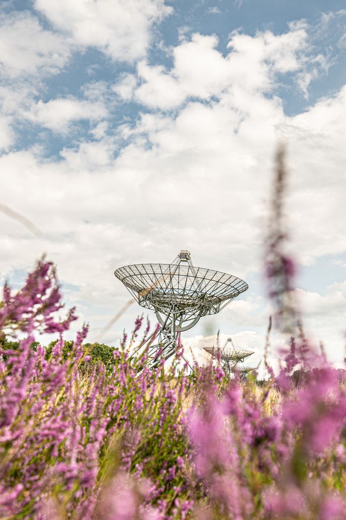 hero-img-01 Radio telescope in a field of heather flowers under a bright sky, showcasing rural technology.