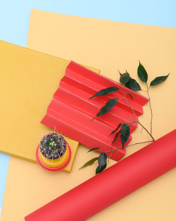 Crafting Captivating Headlines: Your awesome post title goes here A minimalist composition of a cactus in a pot with colorful paper background, showcasing vivid and modern aesthetics.